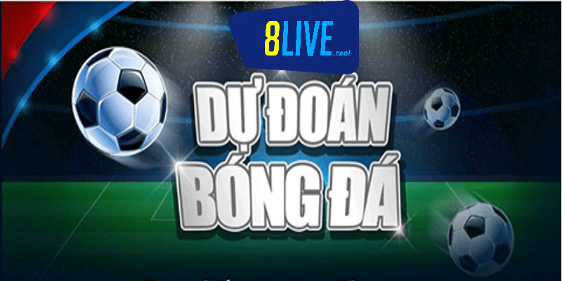 8live: Sân chơi dự đoán bóng đá uy tín, trả thưởng cao 1 Nhà cái 8live – Địa chỉ dự đoán bóng đá hàng đầu hiện nay