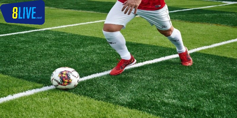 Trải nghiệm cá cược linh hoạt mọi lúc