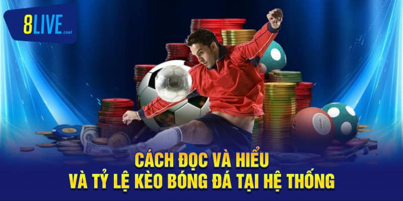 Tỷ Lệ Kèo Bóng Đá 8LIVE - Dự Đoán Cá Độ Bóng Đá 4 Cách đọc và hiểu và tỷ lệ kèo bóng đá tại hệ thống